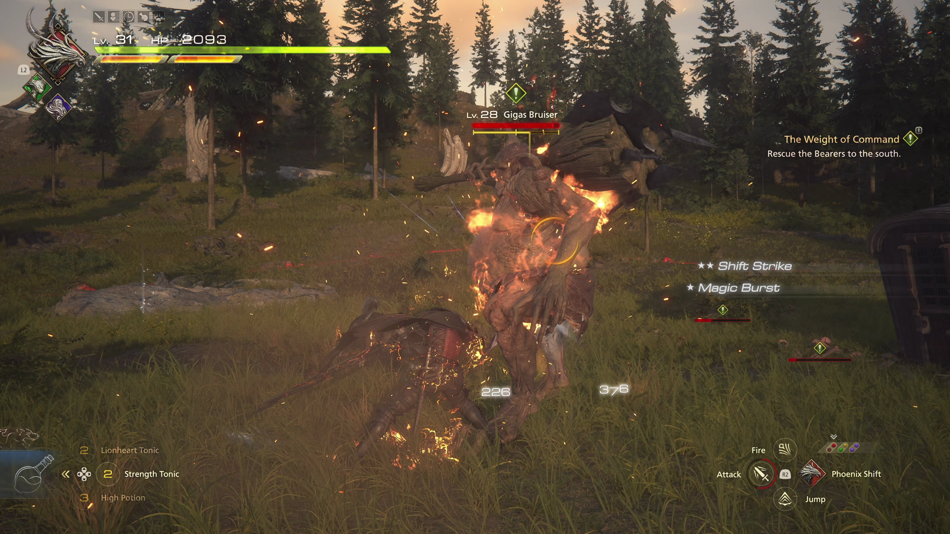 Battle against the Gigas Bruiser