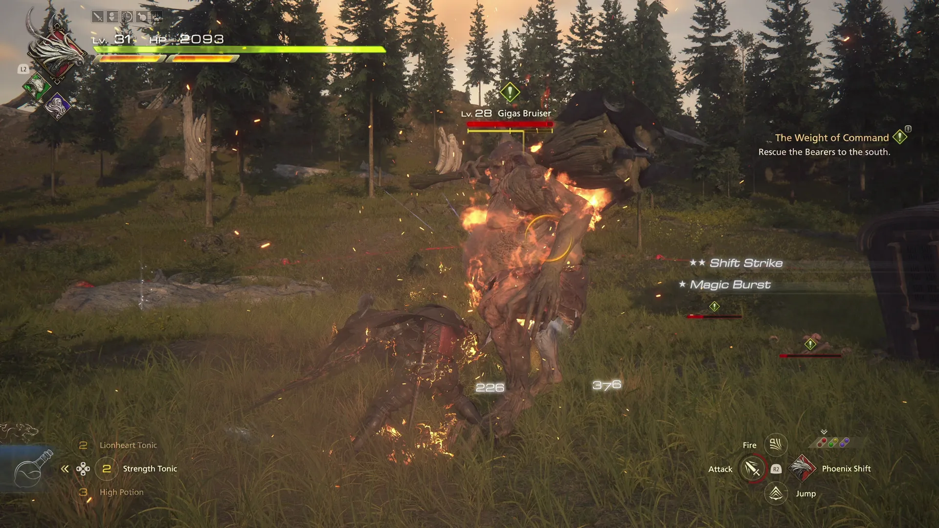 Battle against the Gigas Bruiser