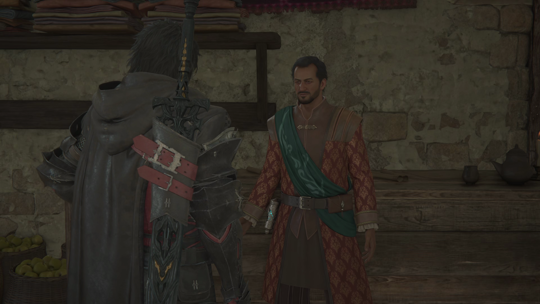 Accepting the Hot Water Optional Quest from Xaver in Dalimil