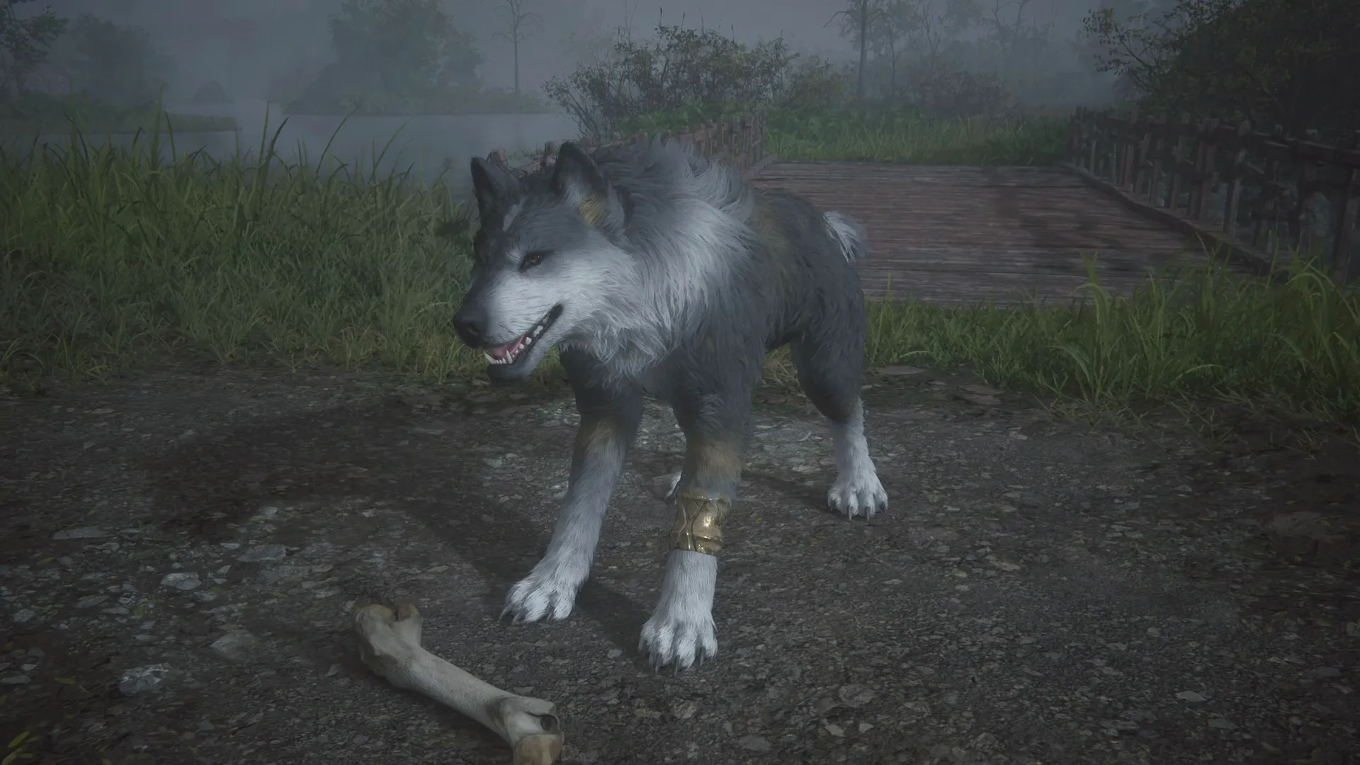 Torgal looking happy with his Elder Antelope Bones