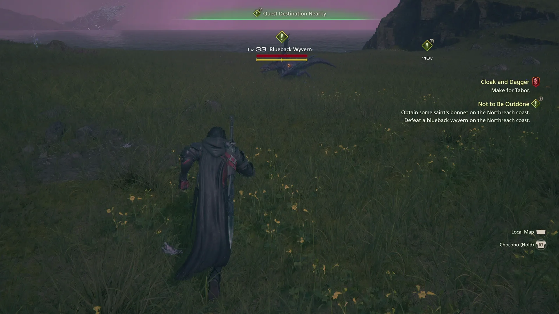 Approaching the Blueback Wyvern in the Royal Meadows