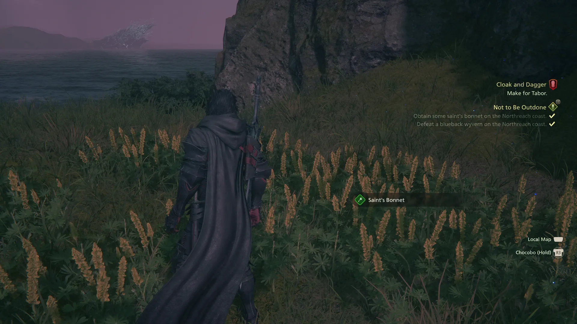 Gathering the Saint’s Bonnet