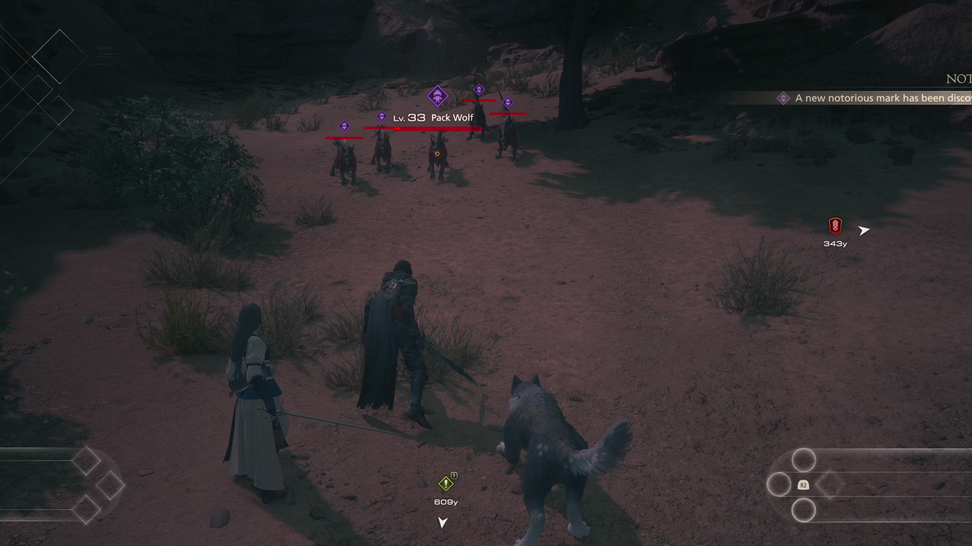 Approaching the Pack of hyenas