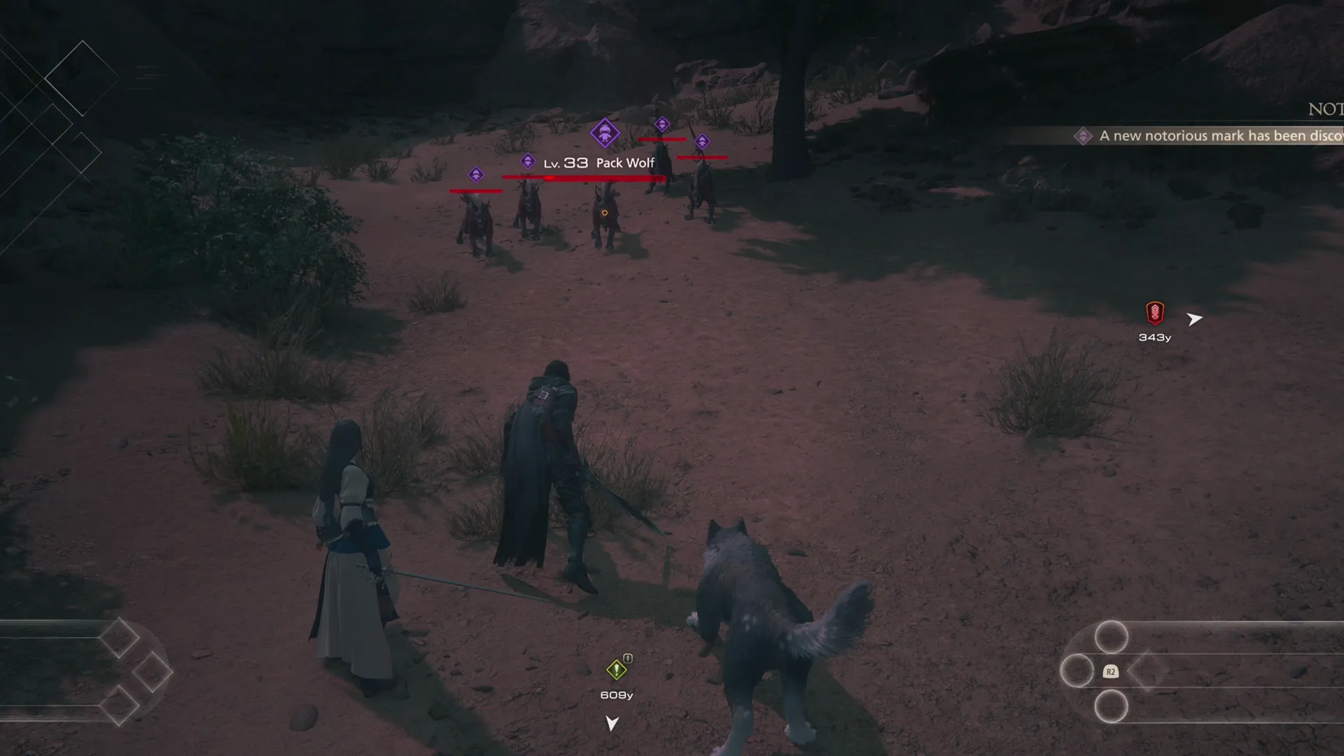 Approaching the Pack of hyenas