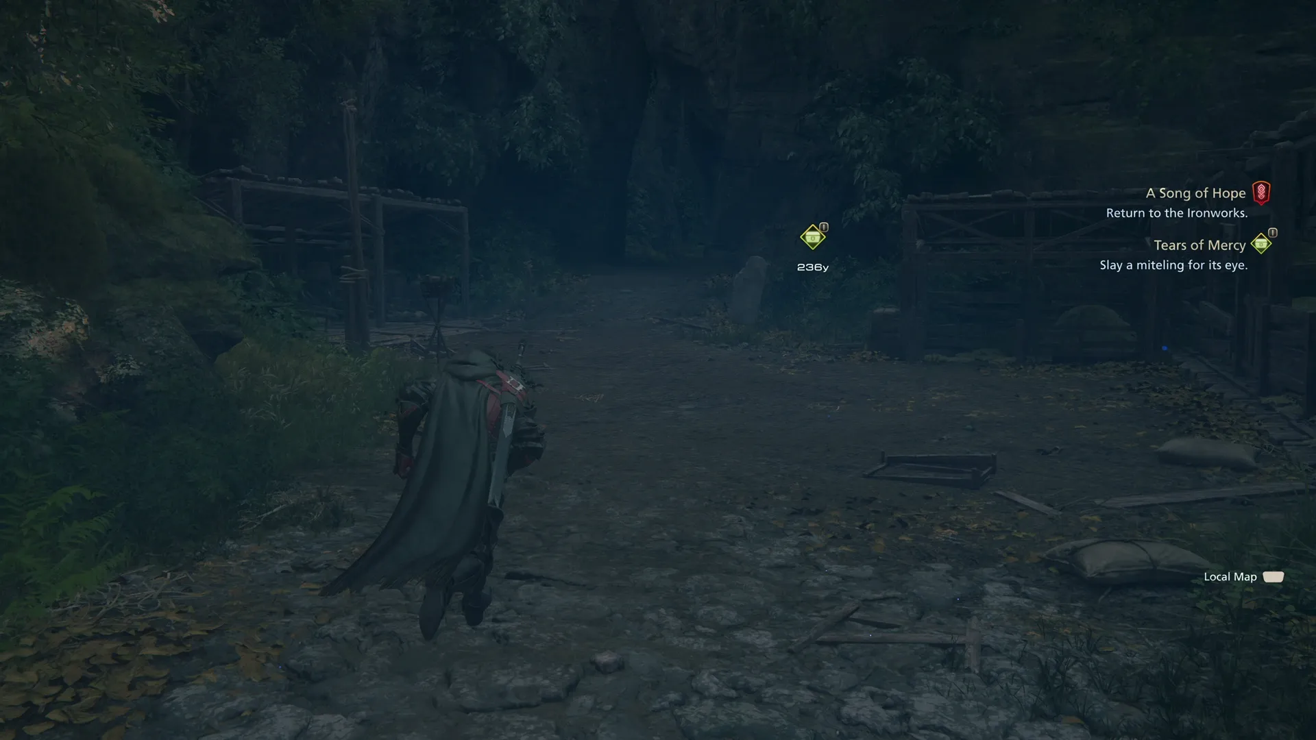 Heading north out of Lostwing towards the mitelings