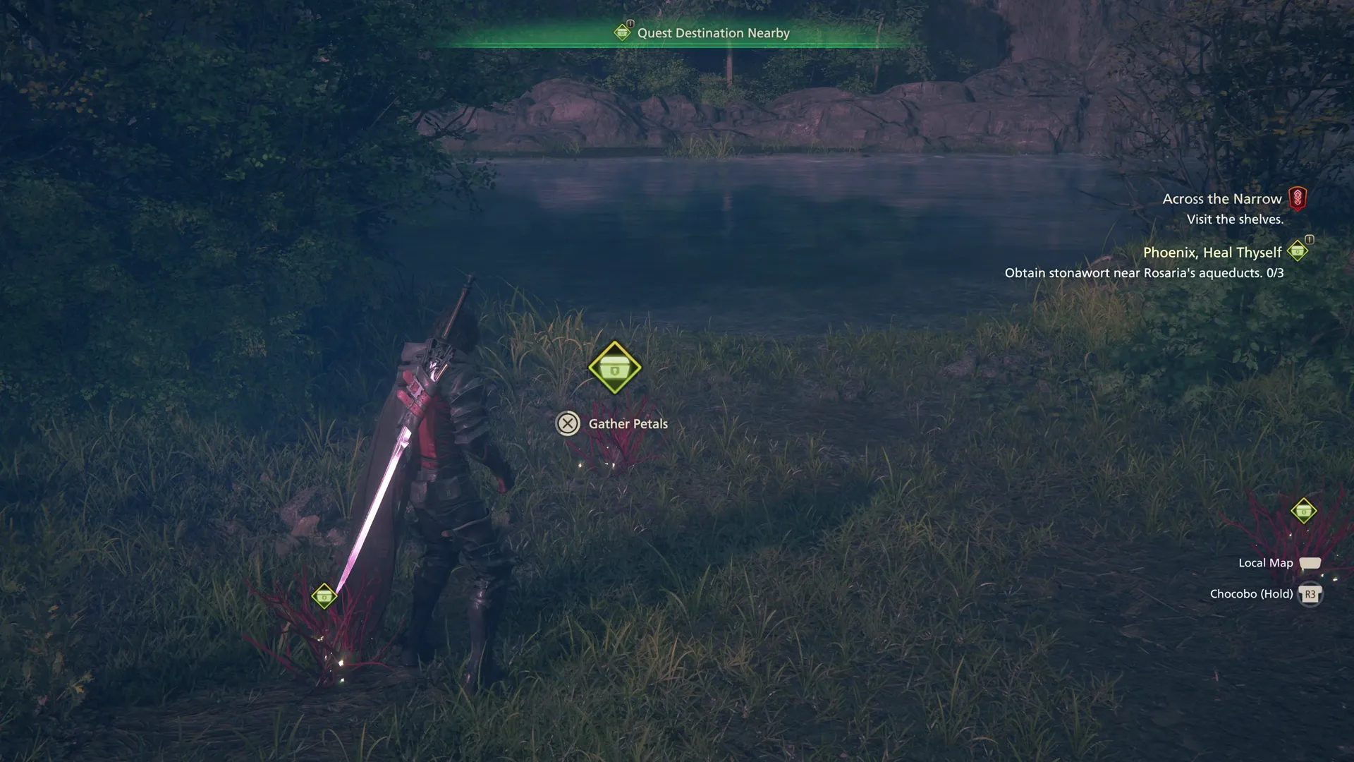 Gathering the Stonawort off the ground to complete the quest