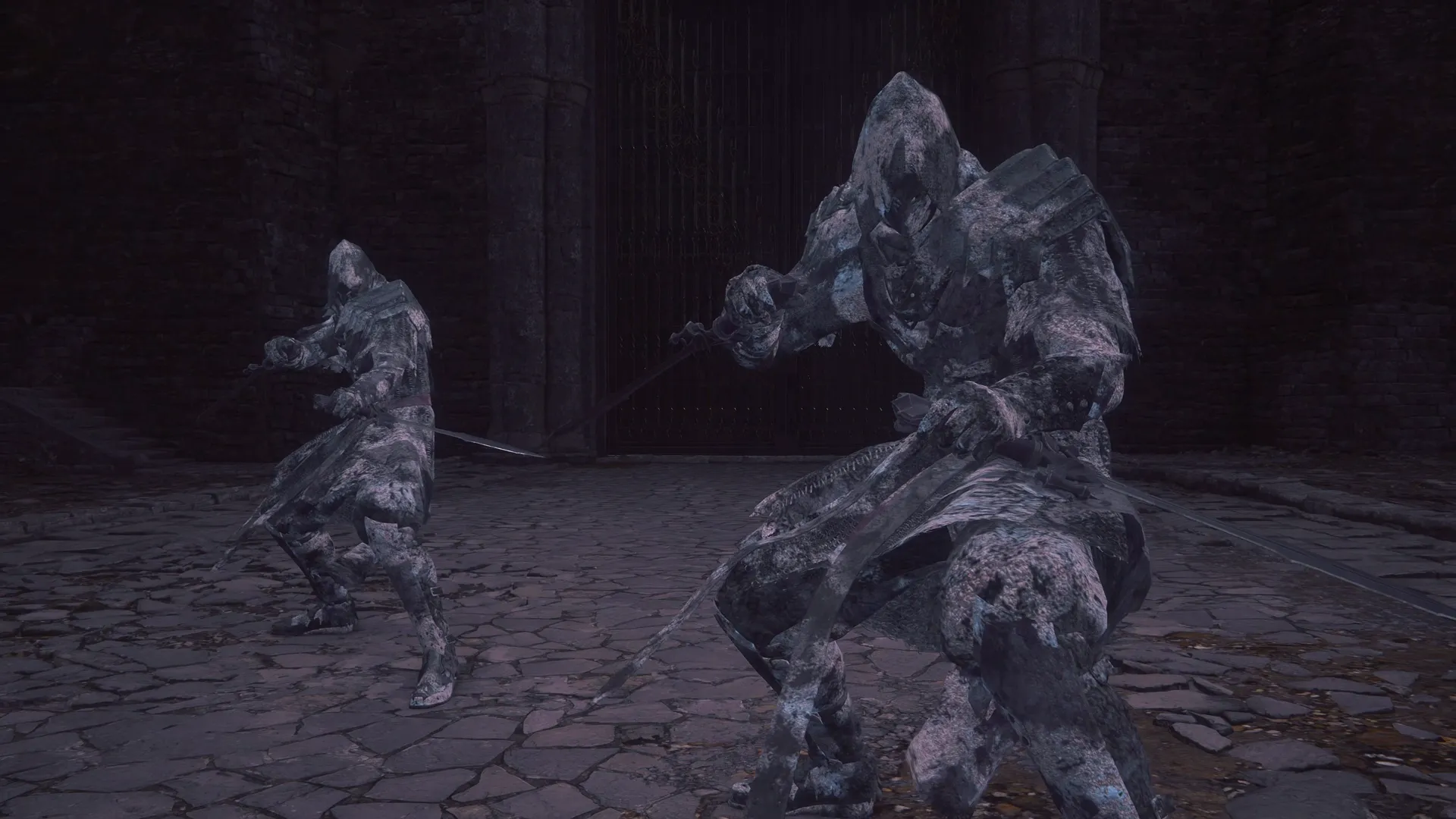 Opening of the battle against two Akashic Tognvaldr / Ninja enemies