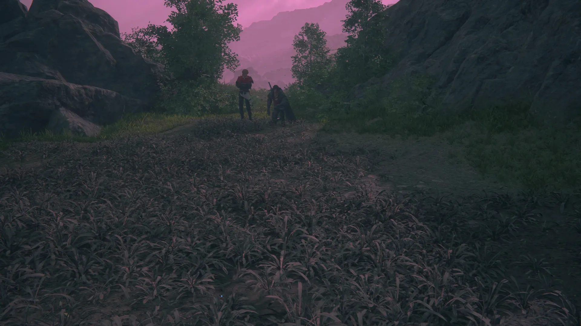 Clive and Joshua reaching the Hawk’s Cry Cliff but not finding any flowers