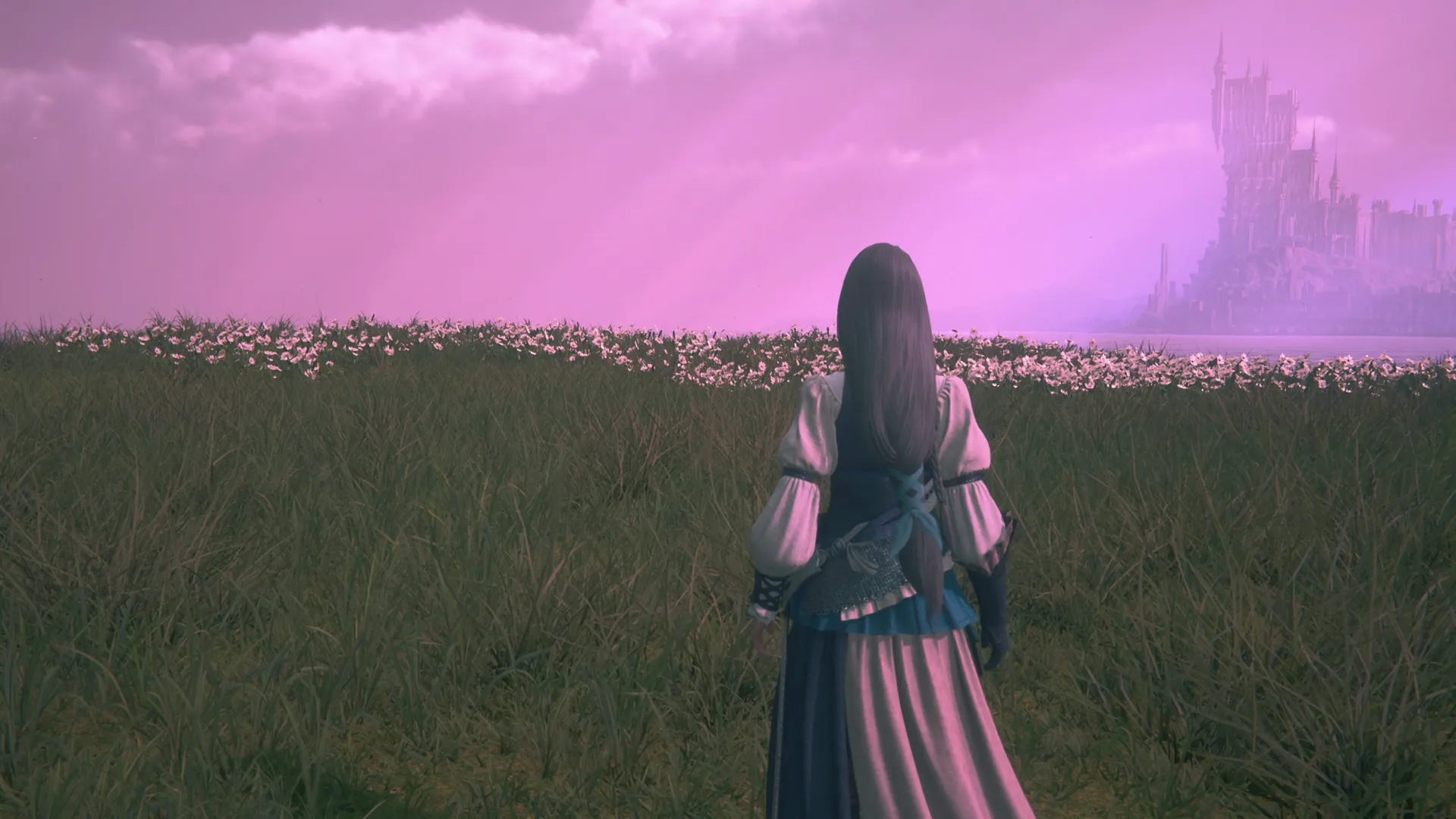 Jill looking on at the Snow Daisies