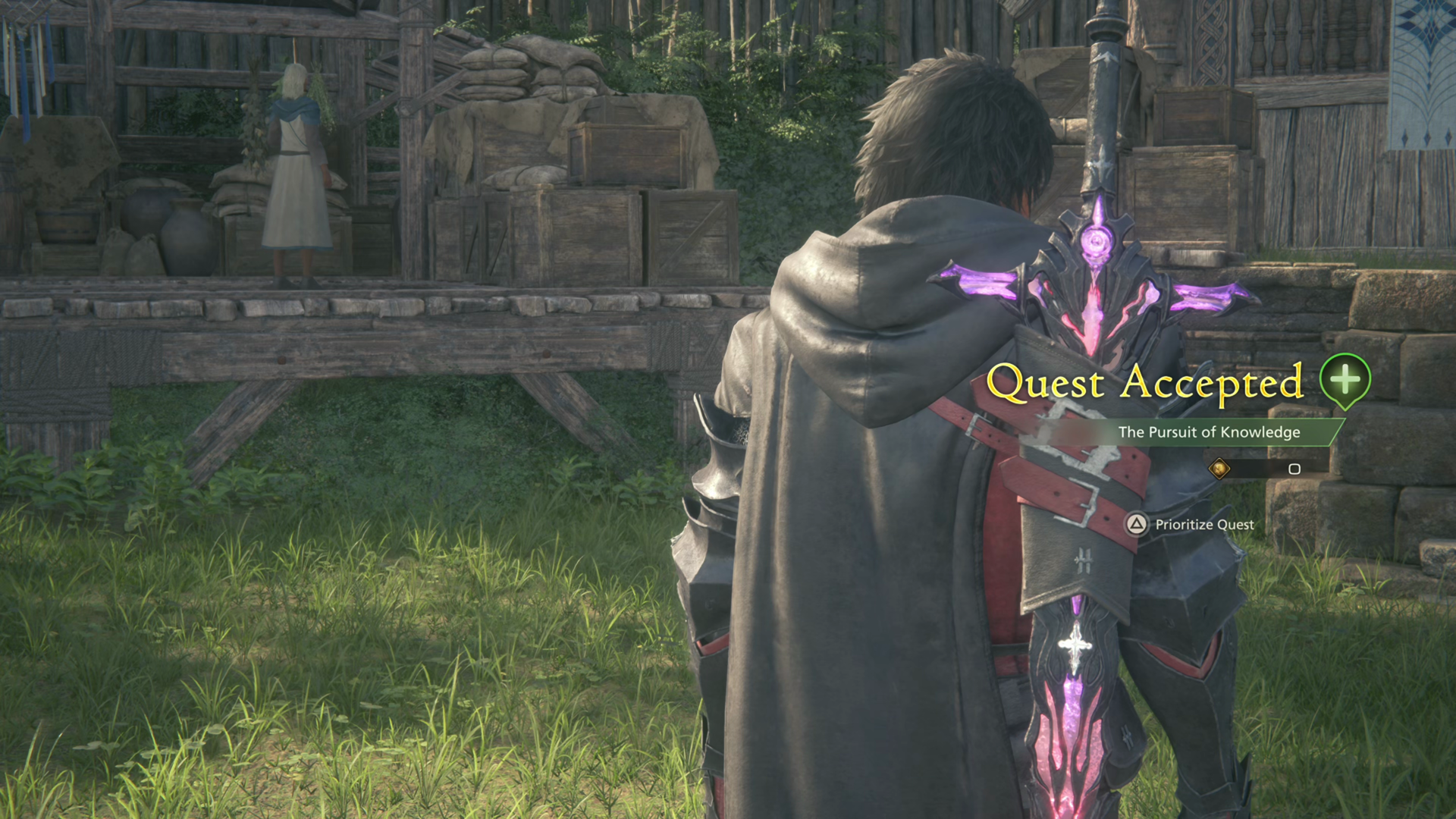 Accepting the Pursuit of Knowledge Optional Quest from a man who has disappeared from view