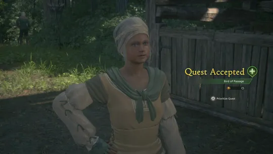Accepting the Bird of Passage Optional Quest from Manda in Haven