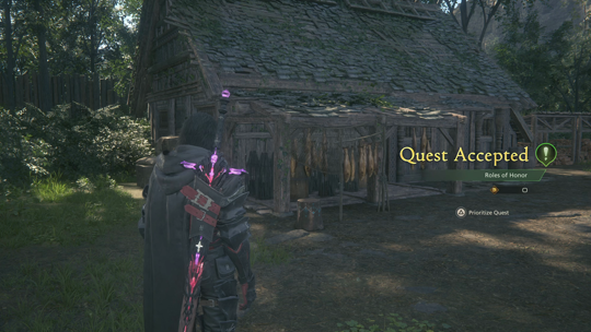 Accepting the optional quest from Nasef near one of the huts in Haven