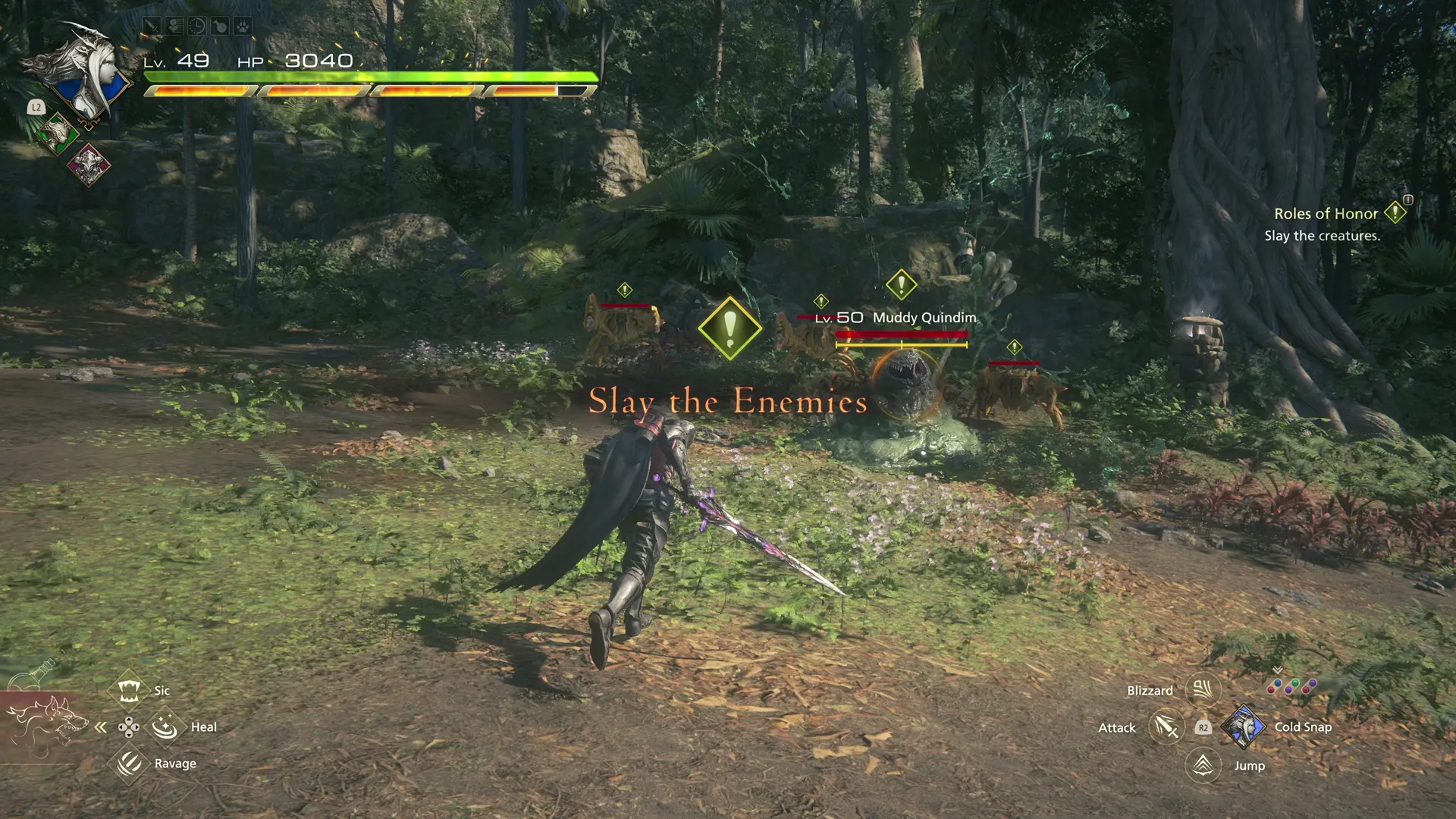 Battling against the Muddy Quindim