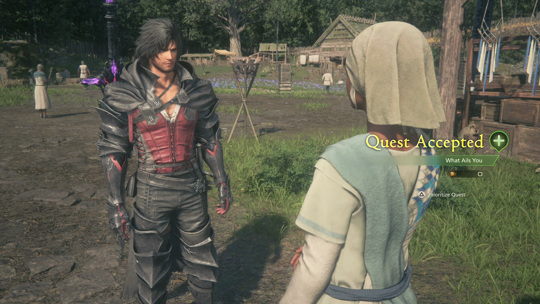Accepting the What Ails You Optional Quest from Fanet in Haven