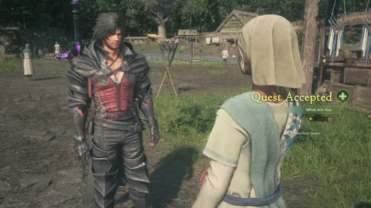 Accepting the What Ails You Optional Quest from Fanet in Haven