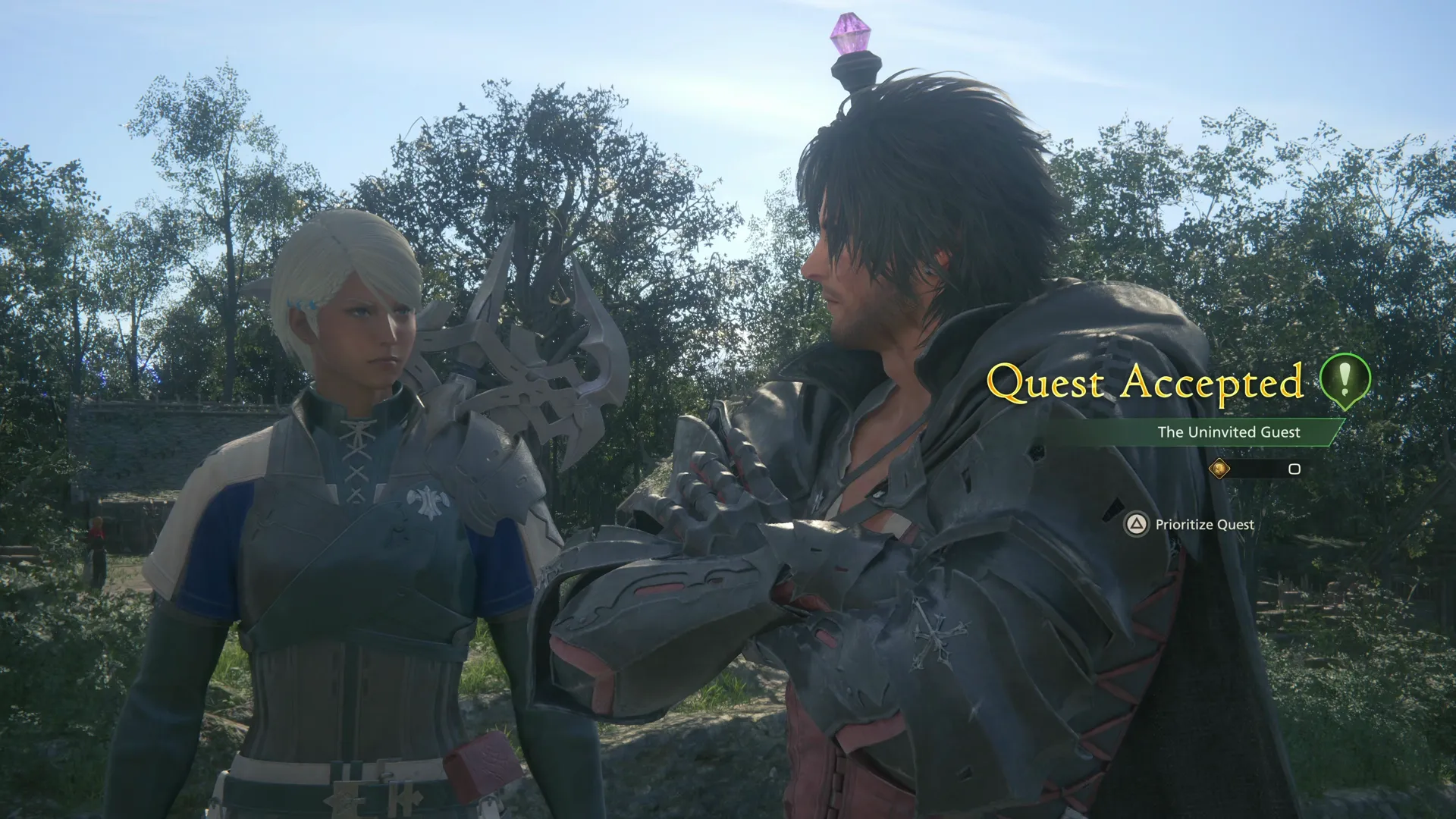 Accepting the Uninvited Guest Optional Quest from Jamila in the center of Haven
