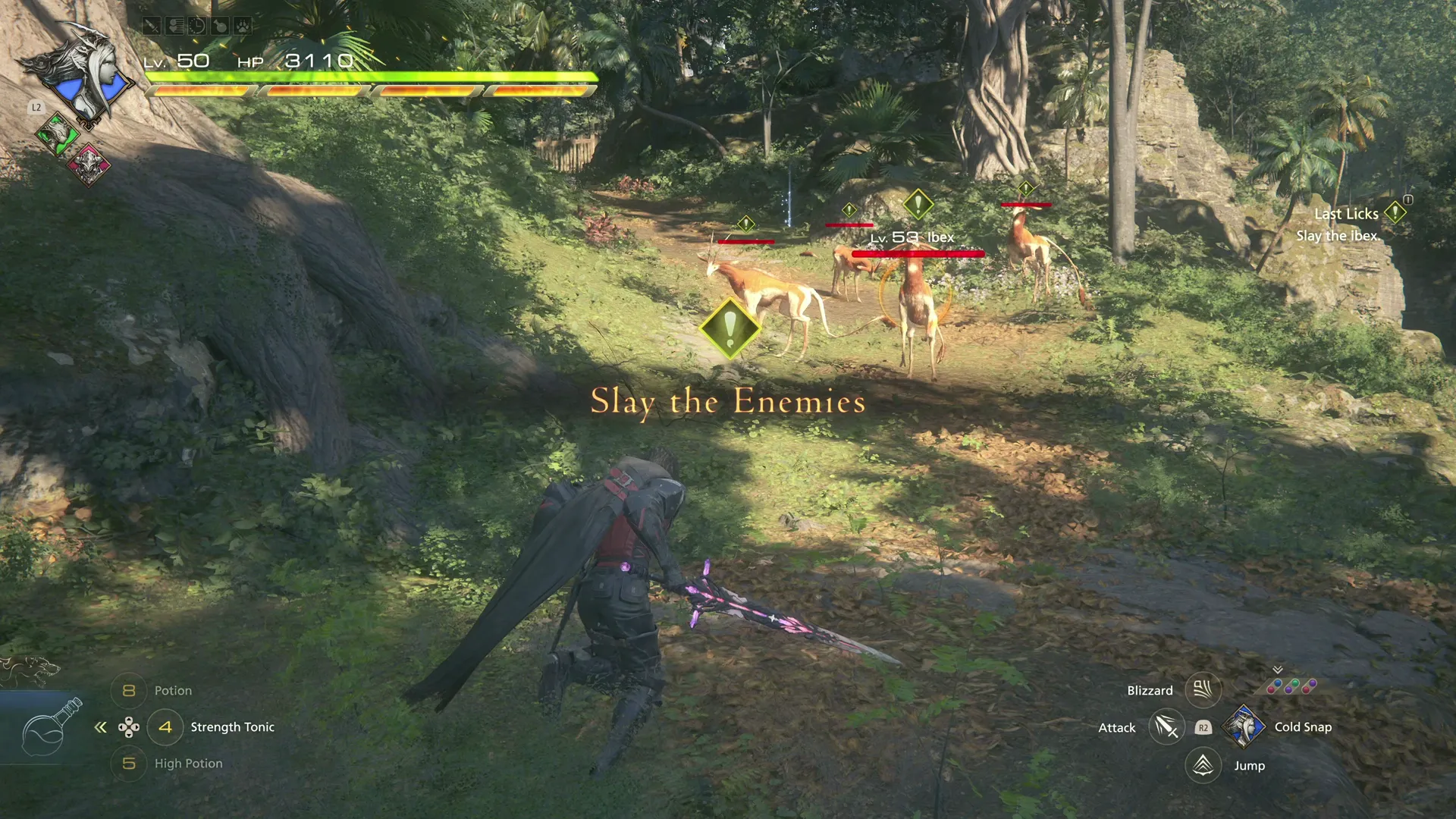 Charging into a group of Ibex in Father’s Fell