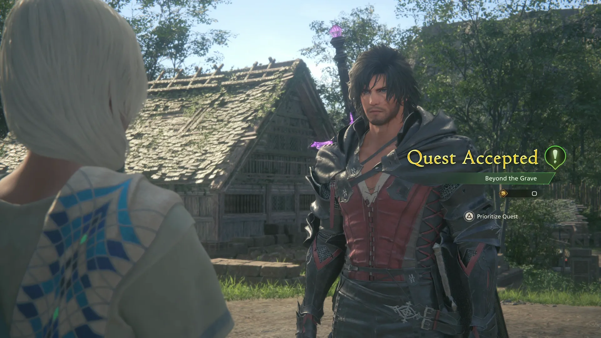 Accepting Beyond the Grave Optional Quest from Dalina near the Witanhall of Haven