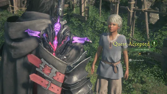 Accepting the Lost in the Woods Optional Quest from Ayrik in Haven