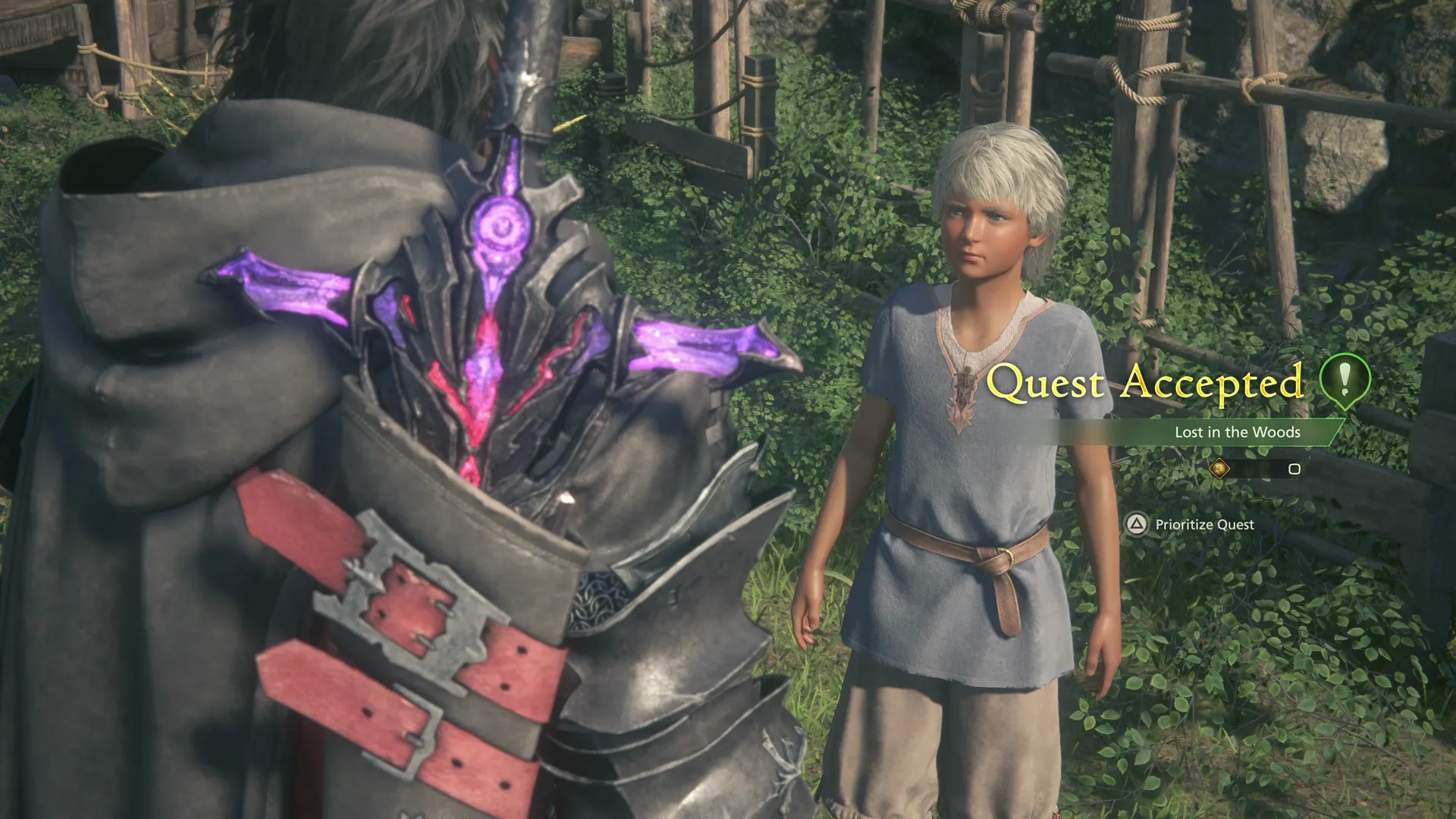 Accepting the Lost in the Woods Optional Quest from Aryik