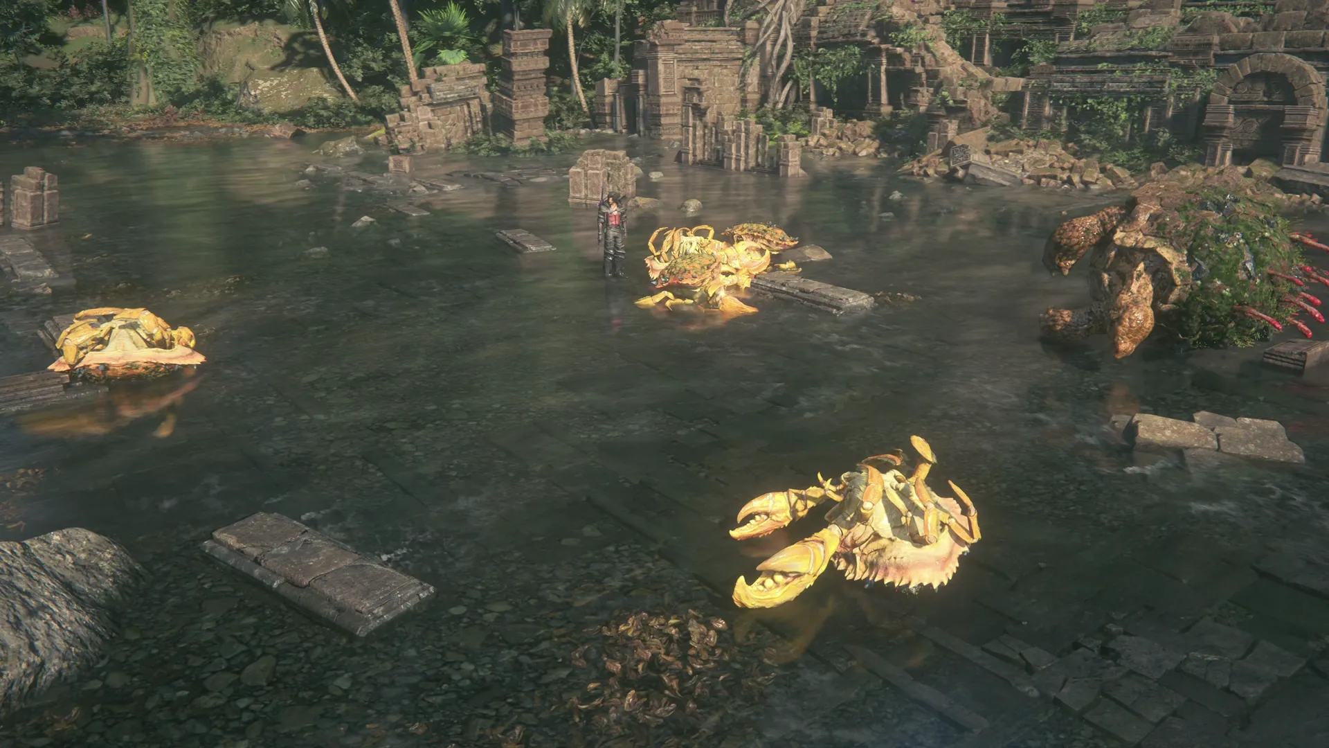 Clive looking on at the dead crabs littered throughout the water