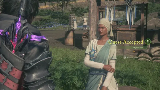 Accepting the Reign of Pain optional quest from Fanet in Haven